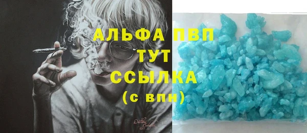 мяу мяу мука Алзамай