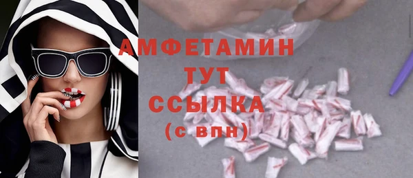 индика Алексин