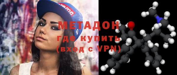 индика Алексин