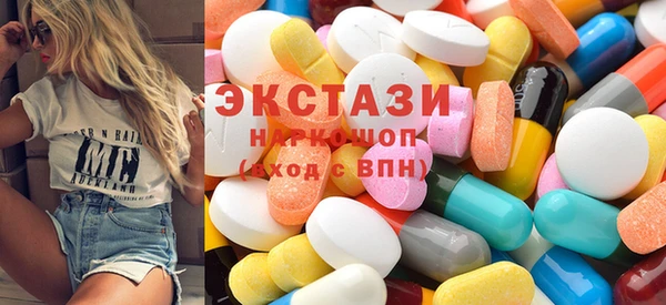 индика Алексин
