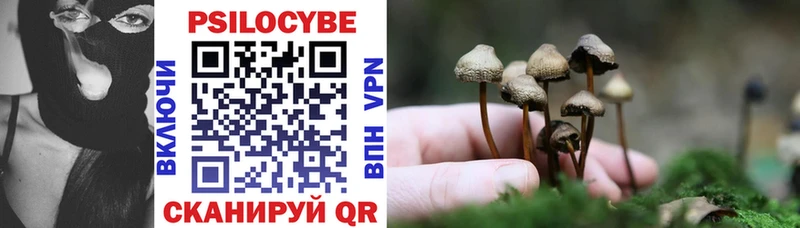 Галлюциногенные грибы GOLDEN TEACHER  Купить закладки  Боровск 